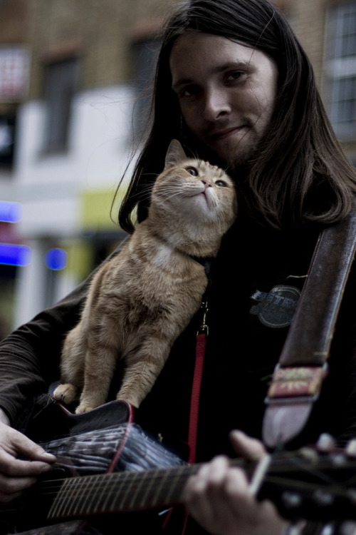 filialunaris:  awkwardsituationist:  after an apparent attack by a fox, a street cat named bob was found injured and curled up in the hallway outside of a support housing flat in tottenham were james bowen, a recovering heroin addict and homeless busker,