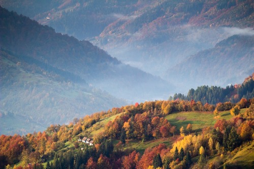 expressions-of-nature:Autumn in Western Ukraine by Dima