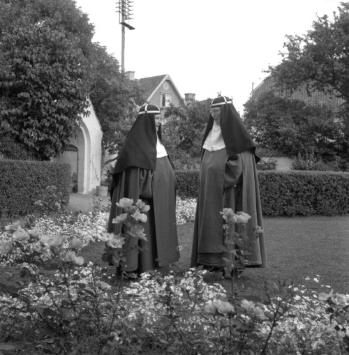 vintage-sweden - Nuns, 1958, Sweden.