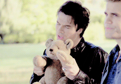 dailydamongifs:  Damon + Ms. Cuddles(requested by anonymous) 