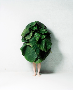 thegoldeneternity:   Azuma Makoto, Leaf Man, 2011. 