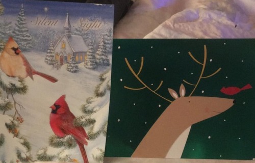 I love #Christmascards so beautiful #christmas2018https://www.instagram.com/p/BrtsBxSBle2/?utm_sou