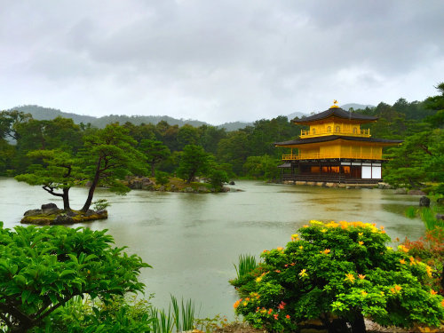 japan-overload: 雨の金閣寺 by Hideo Via Flickr: Kinkaku-ji, Kyoto World Heritage 京都二日目は一日中雨。