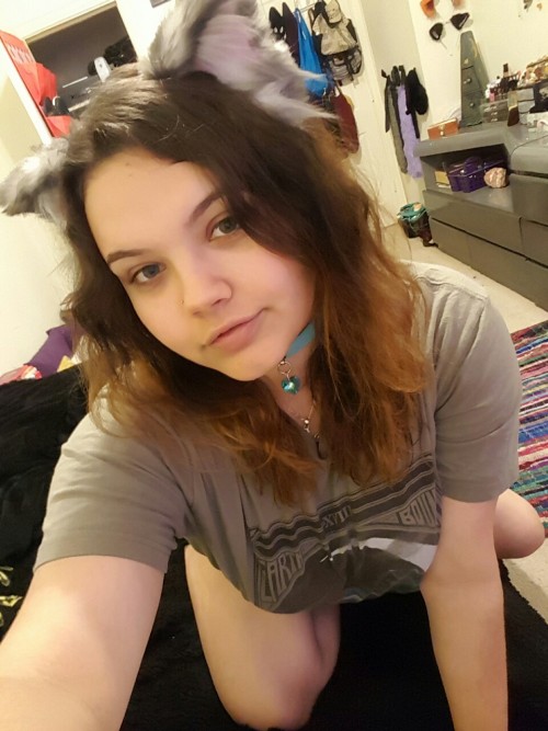 unesavvycat:  Ive been feeling very playful 