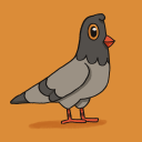 pigeonhome avatar