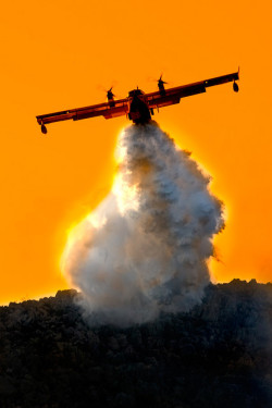 dranilj1:  Incendio di Pizzo Sella e Monte Gallo by lorca56 on Flickr. 
