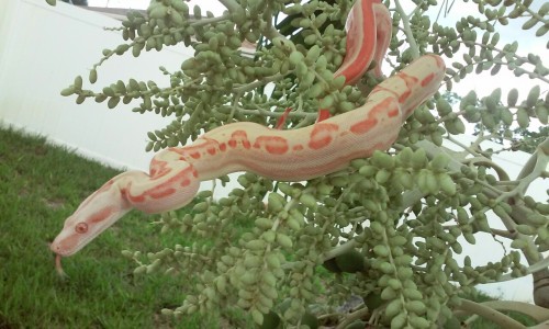 fainfol:Margarita had fun outside, too!