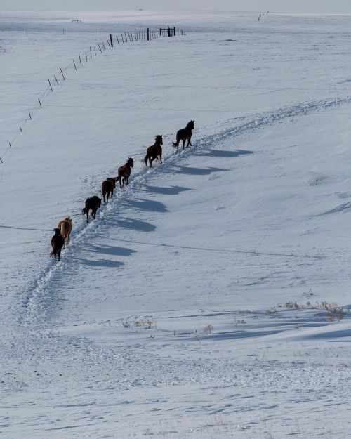 This is an old photo but it’s one of my faves to be sure. And because South Dakota greeted us with a