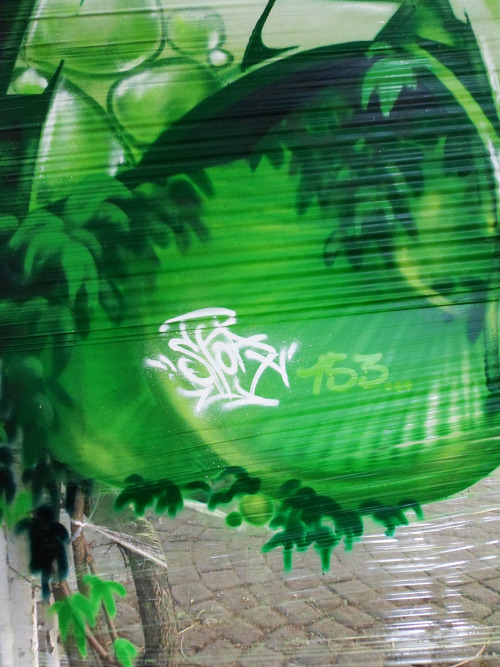 spoare153:  New painted on stretch, Frankfurt (Oder), 2013 