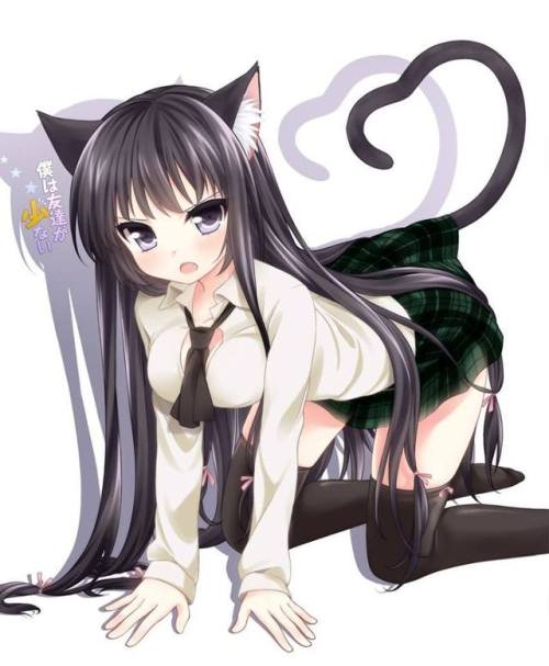 hentai-rule34-yiff:  Meifwa (catgirl) 1