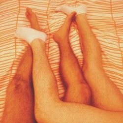 angryangrybirds:  How’s your evening boys? :-P #gaypoland #gay #gayfetish #gaysocks #whitesocks #instagay #instahomo #instafetish #gayhot #hotgay #gaysockfetish #instasocks #gayfootfetish #gayhairy #hairylegs #hairy #gaylegs #instalegs #socksandbeards