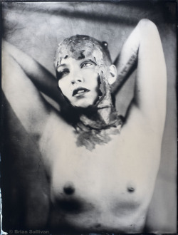 b7lab:  18x24” Tintype - Desalle 2014 