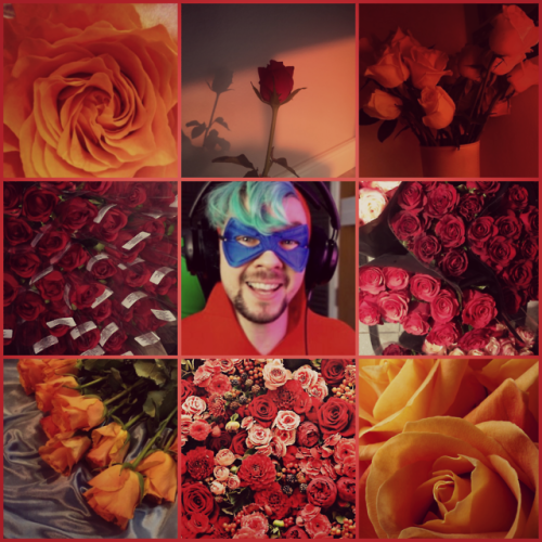Jackieboy Man + Roses Aesthetic For @youtube-banshee