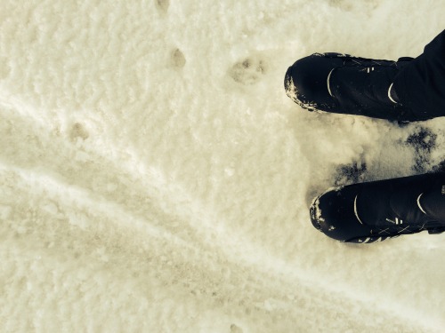 First ride on the Borealis Yampa in the Snow. 