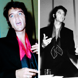 vinceveretts:  Elvis during a press conference