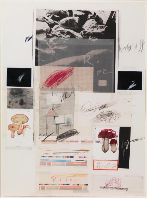 garadinervi: Cy Twombly, Natural History Part I: No. VIII, 1974; Natural History Part I: No. X, 1974