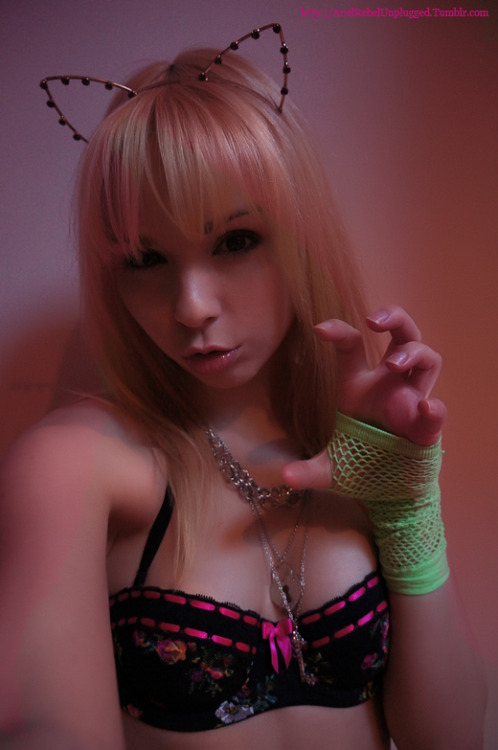 arielrebelunplugged:  RAWRRRRR!!!!  …just because @RebelsOwntheNet