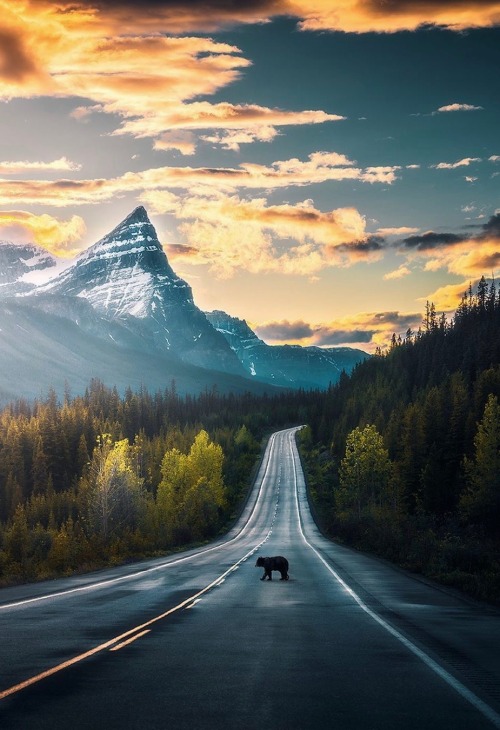 utwo:  Banff Alberta Canada© Merve Cevik