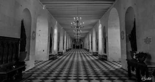 Château de Chenonceau, France.www.jcllib.tumblr.com