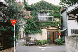 japan-overload:Horikiri Tokyo by ogino.taro on Flickr. 