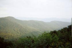 thefilmhoardersdiary:  We went for a ride 