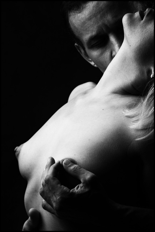 Suits Sex and Submissives