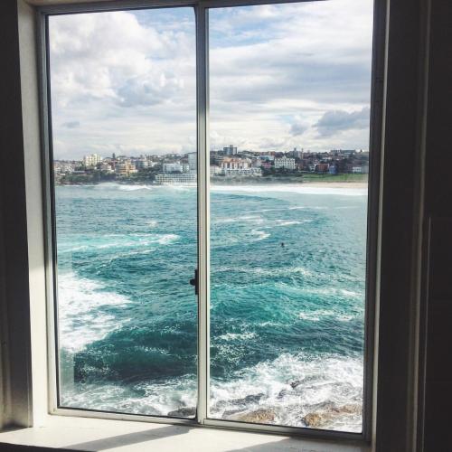 jadetunchy:Kitchen window at the new office (at North Bondi)