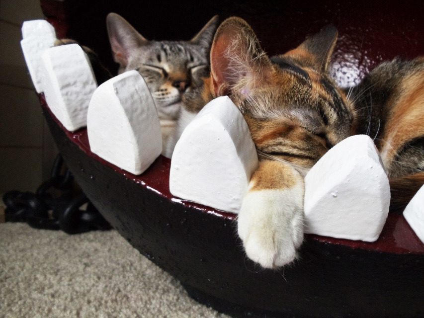 geek-studio:  Chain Chomp Cat Bed - CatastrophiCreationsThis was a one of a kind