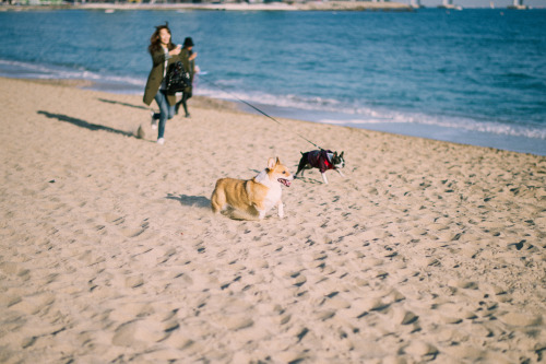 Gwangalli beach