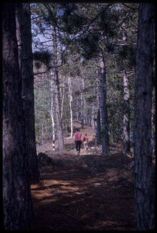 perhaps at the cabin, may 1964