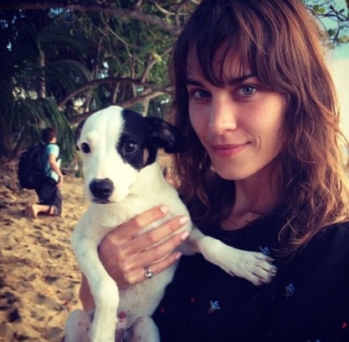 Me With Any Animal