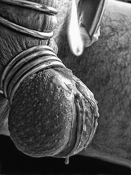 her-royal-blueness:  royb8771:  Wow, that is a bit scary, I wonder why I want to feel that cold steel wrapped around me, to feel the beautiful heat as drip after drip of hot wax falls on my tight balls.  