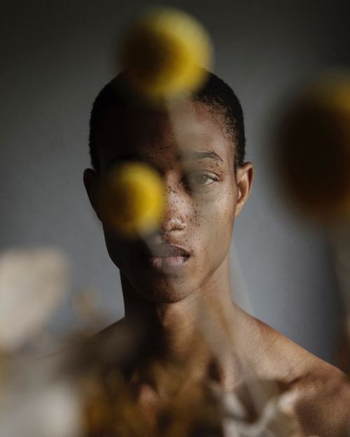 ohthentic:  jilkos:Romaine Dixon by Sabine Villiard  Oh 