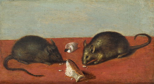 amare-habeo:Jacob de Gheyn II (Dutch, 1565 – 1629)Mice, 1600Oil on oak wood, 12 × 20 cm