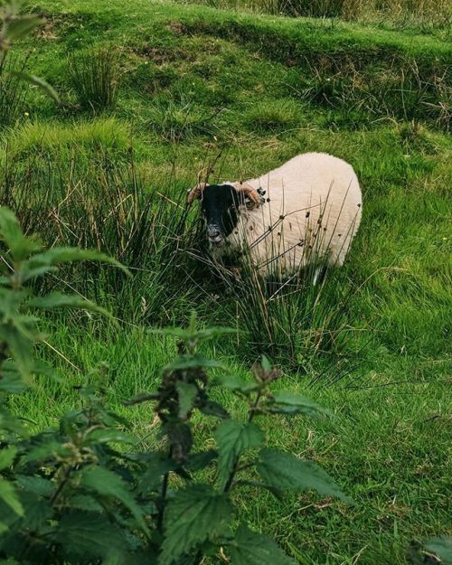 Spying on one another. https://ift.tt/2EhQEf0