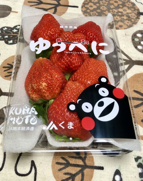 Sweet and bigs Yuubeni strawberries from Kumamoto Prefecture - featuring the yurukyara Kumamon!