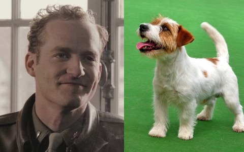 neverbelikeyoume:  Easy Company as dogs, because they are all a bunch of puppies