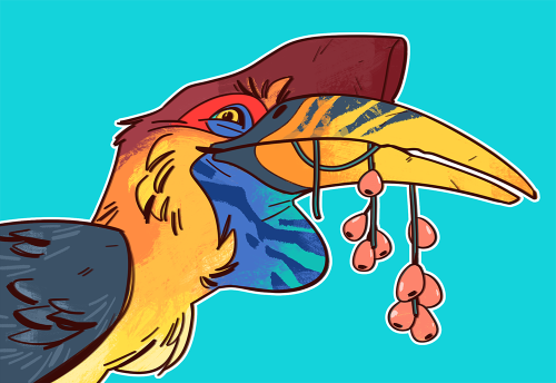 scuttlebuttin:  I love hornbill :D 