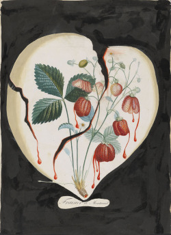 design-is-fine:Salvador Dali, Heart of Strawberries,