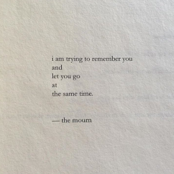 passivites:  Nayyirah Waheed 