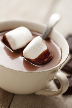 shutterstock:  Hot Chocolate with Marshmellows Photograph by Liv friis-larsen 