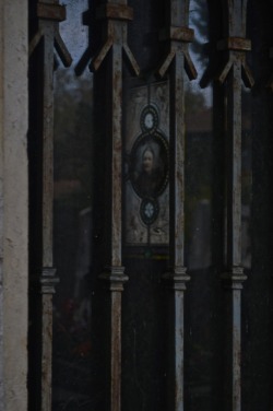 Graniteonmypizza: Ancien Cimetière De La Guillotière, Lyon, France, November 2017