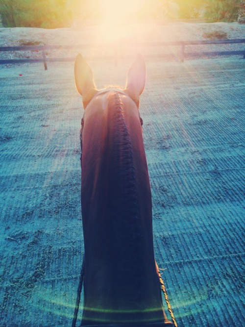 soloeq:Good morning