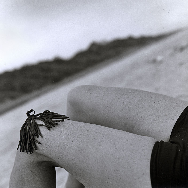 mpdrolet:  Knee Wig, 1998    Silvia Lareo-Vazquez