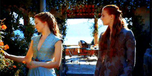 aaryastark:Women in our position must make the best of our circumstances.