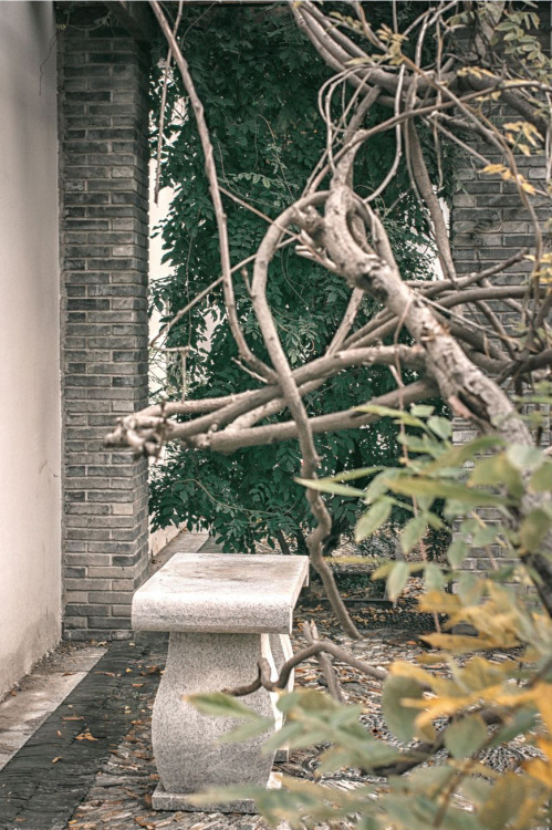 fuckyeahchinesegarden:traditional chinese mansion by Mike.  tianjin, china