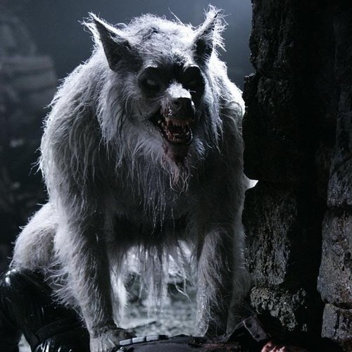 doyouspeakwerewolf:  &ldquo;The very first Werewolves… a dangerous and infectious