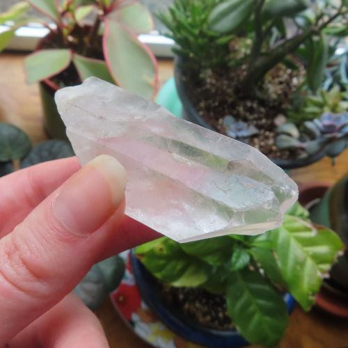 #crystal #crystalhealing #pastlife #pastliferegression #plants #photographer #photography #psychic #