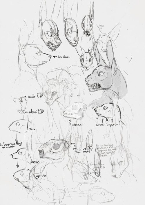 Thank you! And I’m already on it, anon. :] Here’s some brainstorming sketches I’ve