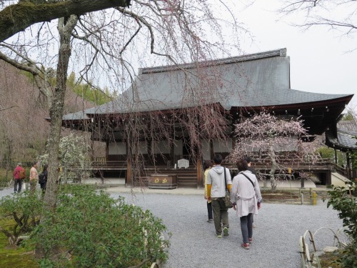 Ah, Arashiyama! Today we visited one of my favourite places, Arashiyama. I&rsquo;d been there on my 